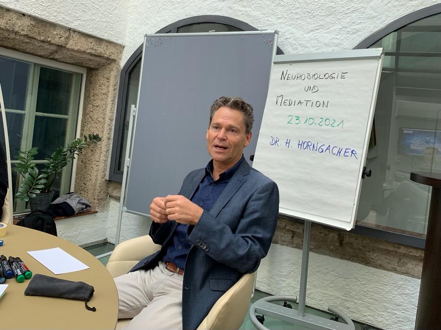 Was gibt es Neues von adribo?